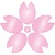 桜のお花