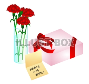 花瓶に挿したカーネーションとメッセージカード＆プレゼント