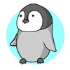 ペンギンの赤ちゃん