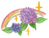ステキな紫陽花と虹