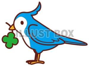 青い鳥×四葉