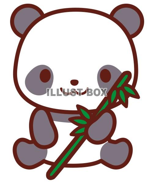 パンダちゃん
