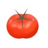 美味しいトマト