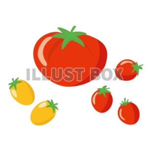 【夏野菜】トマト