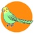 緑色インコ