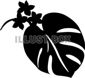 無料イラスト ハワイの植物イメージシルエット