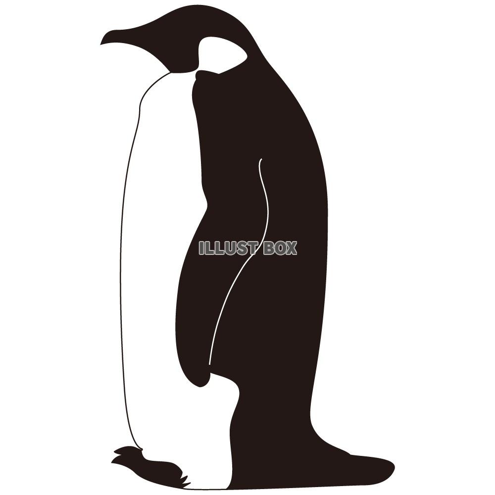無料イラスト ペンギン横向き シルエット