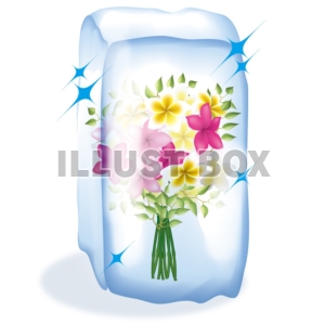 【ワンポイントイラスト】氷柱花　プルメリア