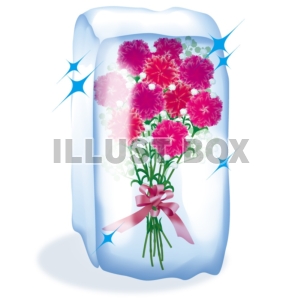 【ワンポイントイラスト】氷柱花　カーネーション