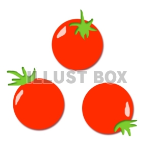 真っ赤なミニトマト
