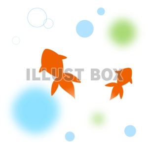 金魚　イラスト