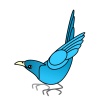 青い鳥②