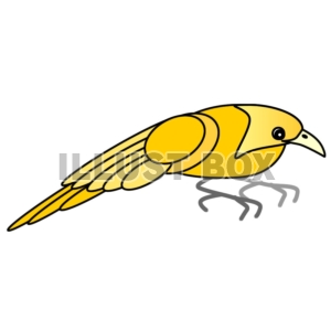 黄色い鳥①