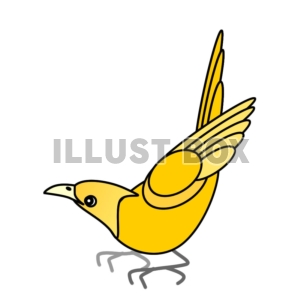 黄色い鳥②