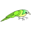緑の鳥①