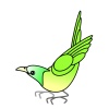 緑の鳥②