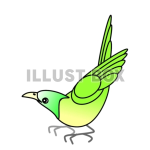 無料イラスト 緑の鳥