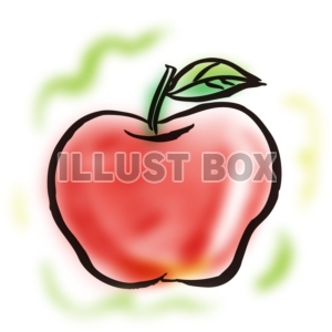 【絵手紙風イラスト】リンゴ　APPLE