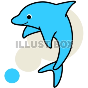 イルカ②