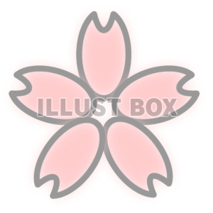 桜①