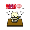 しろねこ”勉強中”