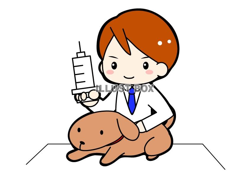 無料イラスト 動物のお医者さん 獣医さん のイラストカット