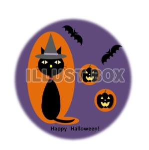 ハロウイン・黒猫とかぼちゃ