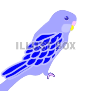 無料イラスト 青いインコ