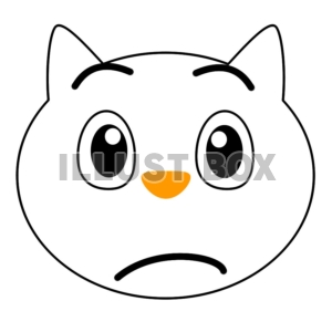 ねこ太郎・おろっ？今、オレ、白い？