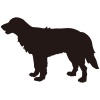 【シルエット】動物シリーズ　犬　ゴールデンレトリバー01