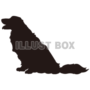 無料イラスト シルエット 動物シリーズ 犬 ゴールデンレトリバー02