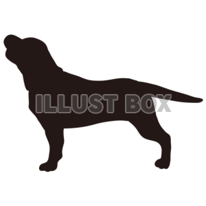 無料イラスト シルエット 動物シリーズ 犬 ラブラドールレトリバー01