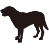 【シルエット】動物シリーズ　犬　ラブラドールレトリバー03