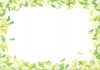 【フレーム　枠】　春の植物シリーズ　銀杏の若葉