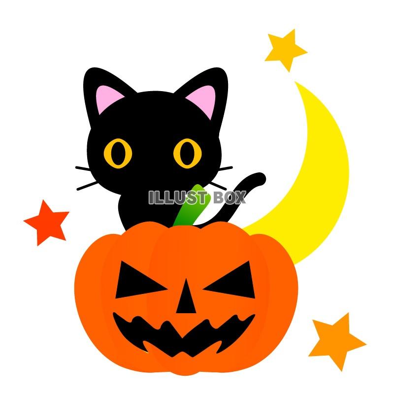 猫とかぼちゃお化け（ジャックランタン）のハロウィンイラスト