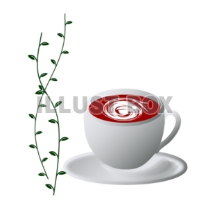 コーヒーと植物