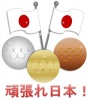 【商業利用不可】オリンピック・三色のメダルと頑張れ日本！