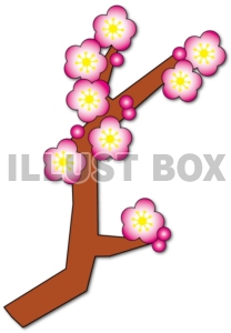 【年賀状】梅の花の枝