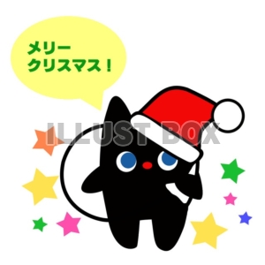 サンタになった猫