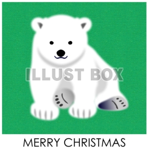 無料イラスト クリスマスのイラスト シロクマの赤ちゃん