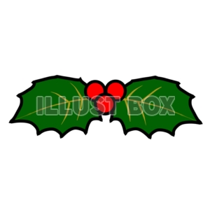 クリスマス・ヒイラギ