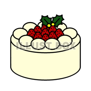 クリスマスケーキ　ホワイト