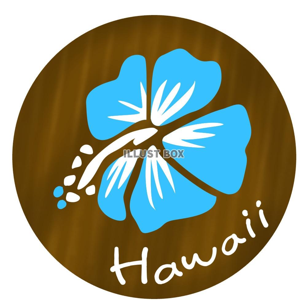 Hawaiiのハイビスカス（水色）
