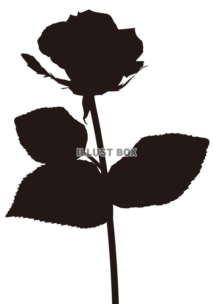 無料イラスト シルエット 植物シリーズ 花 05 薔薇