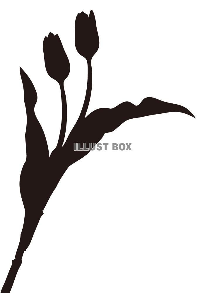 花 白黒 シルエット イラストが無料 イラストボックス