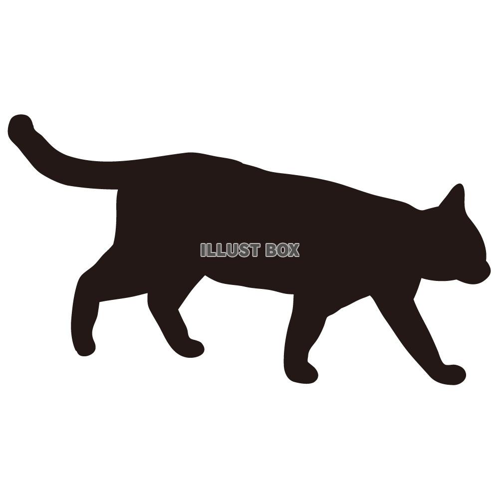 猫 白黒 シルエット イラストが無料 イラストボックス