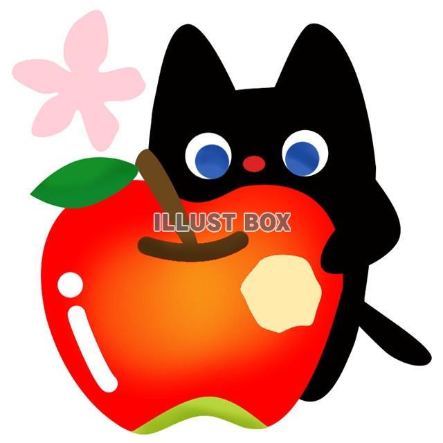 無料イラスト りんごをかじる猫