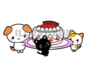 ケーキを持った犬と猫のイラスト