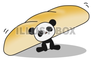 【パンダのコスプレ】ミニフランスパン