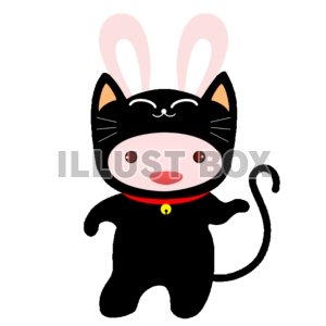 コスプレうさぎ（黒猫）【透過PNG】